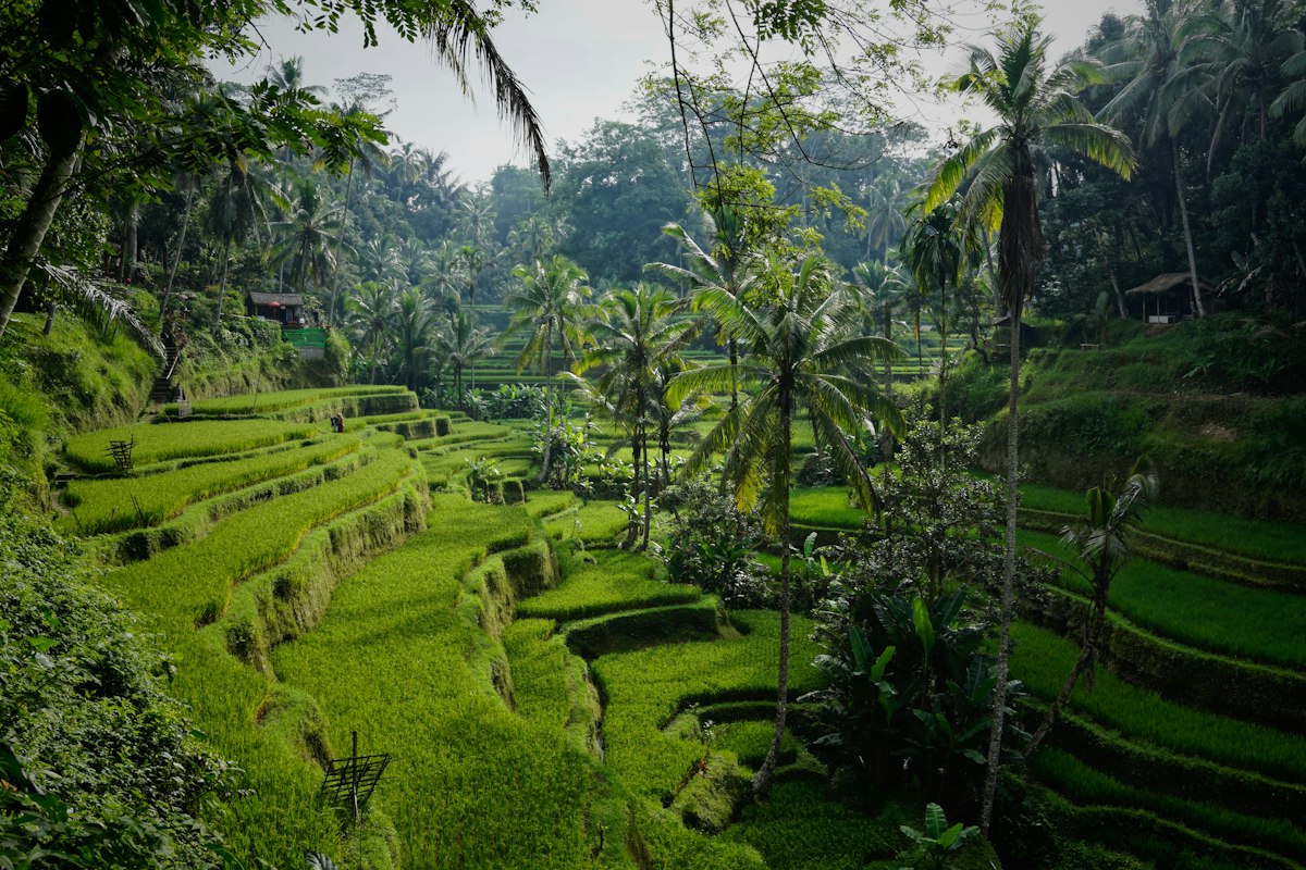 Bali Zoo