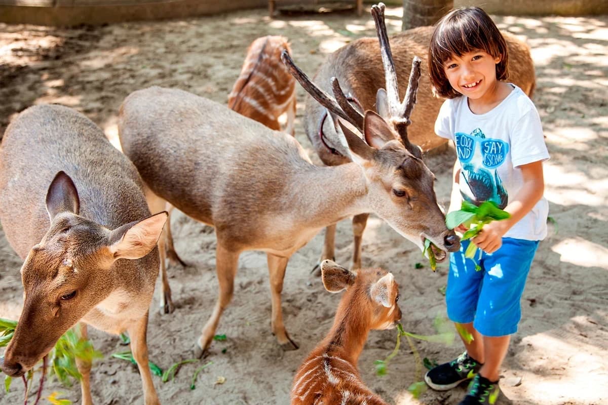 Bali Zoo