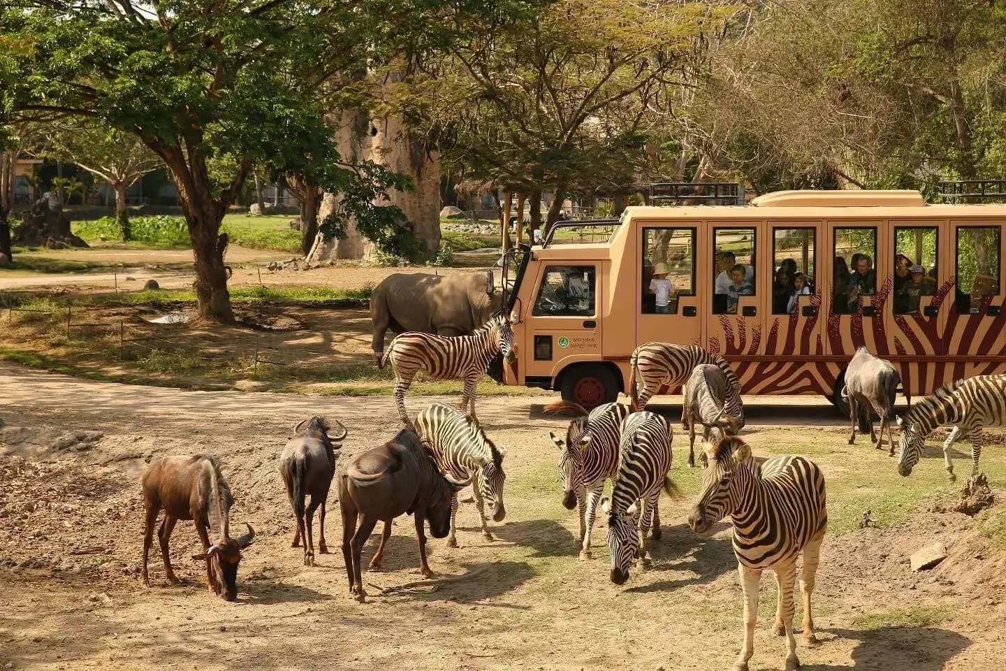 Bali Safari