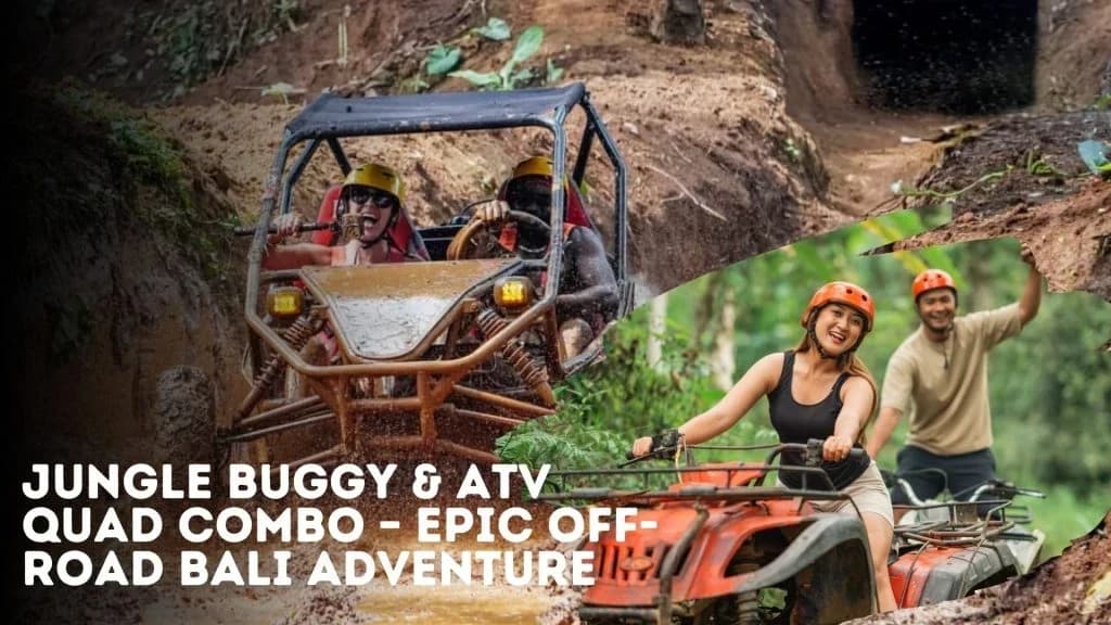 Jungle Buggy Bali Combos